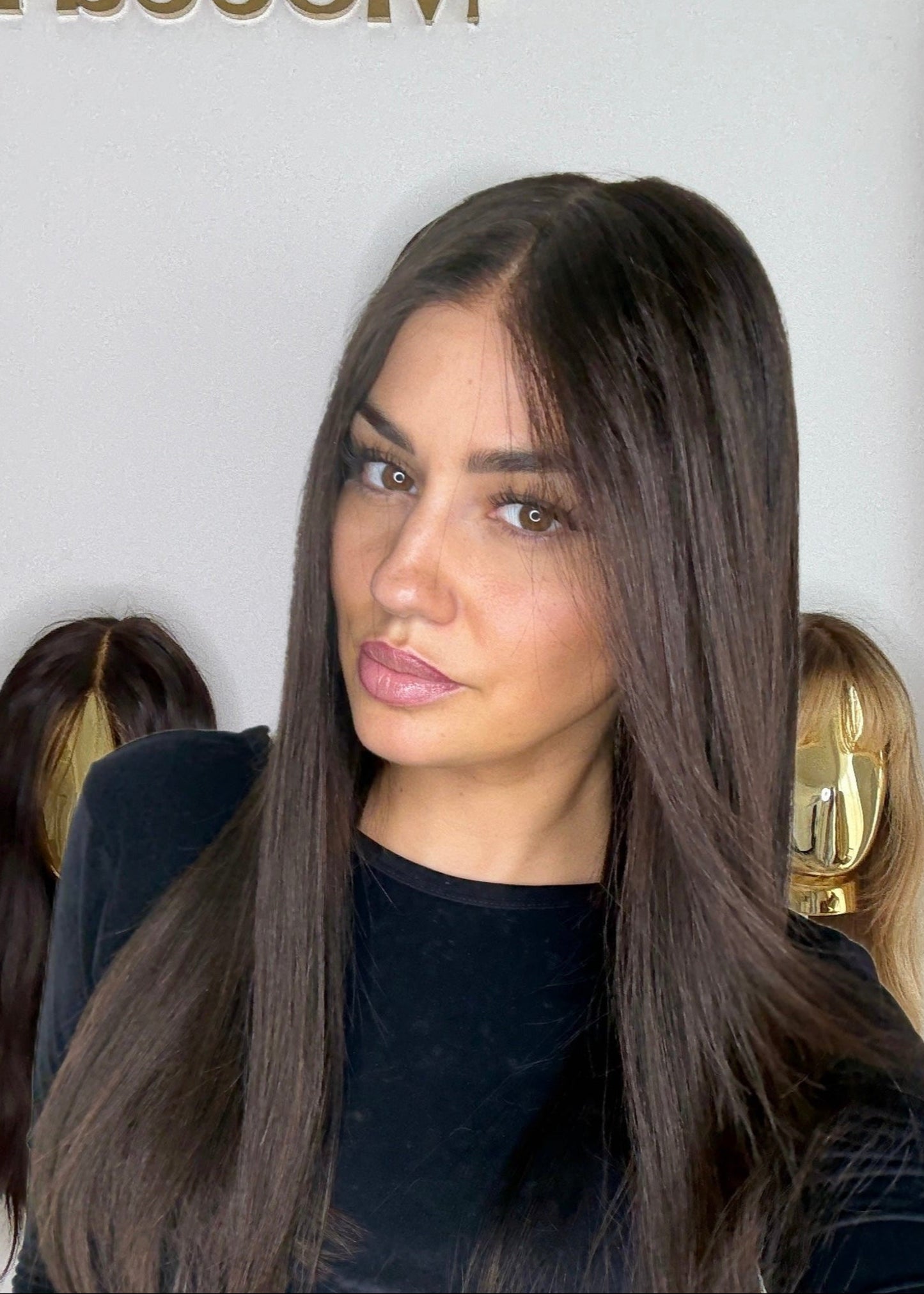 Dark brown wig - color #2,5