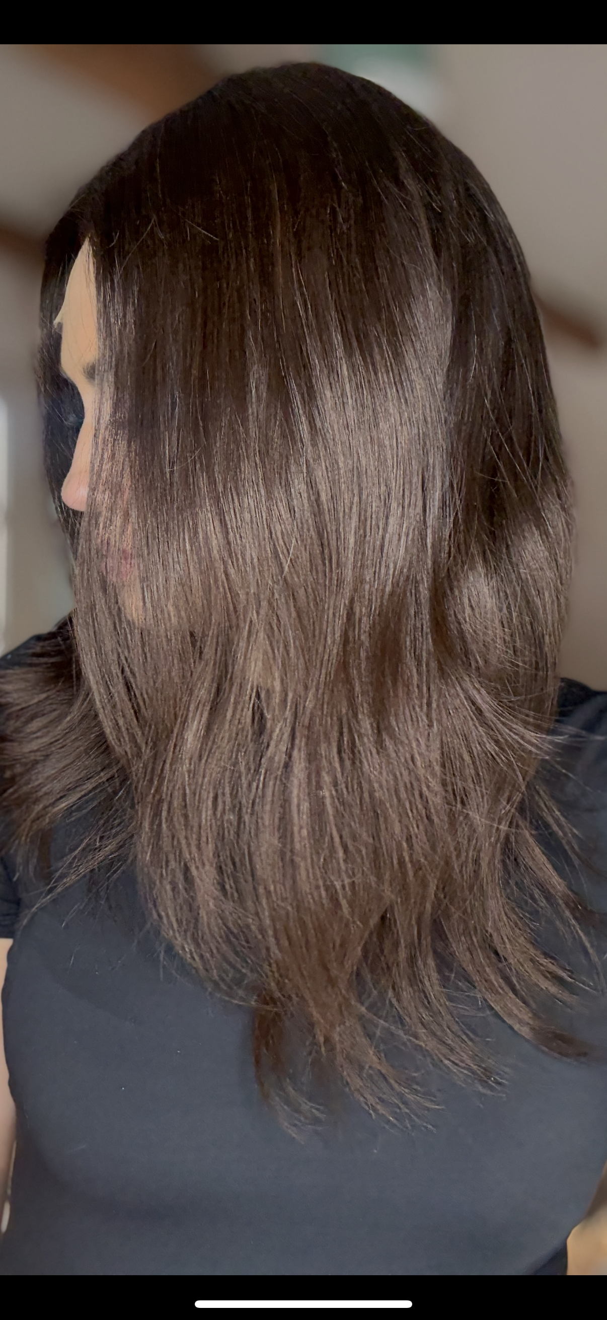 Dark Brown Wig #2,5 14"