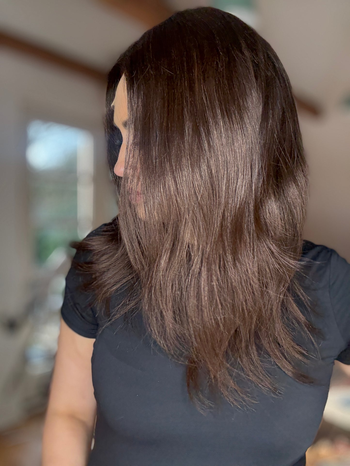 Dark Brown Wig #2,5 14"
