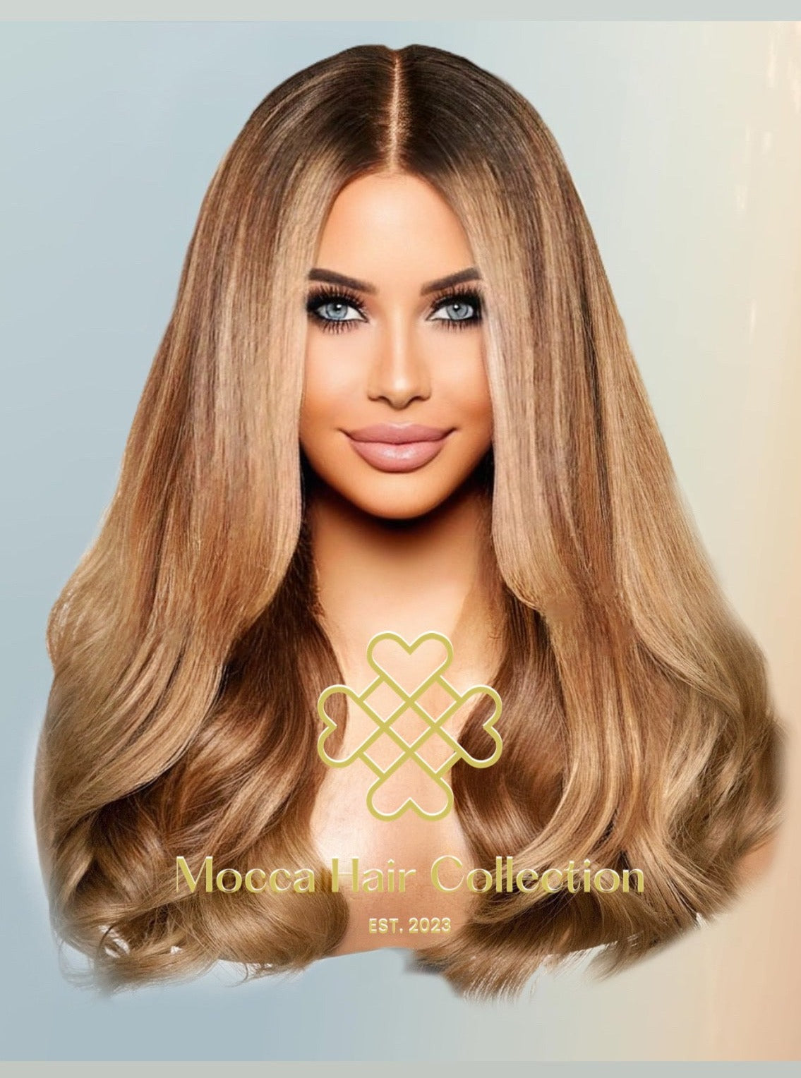 Honey brown blonde ombré wig w. money pieces